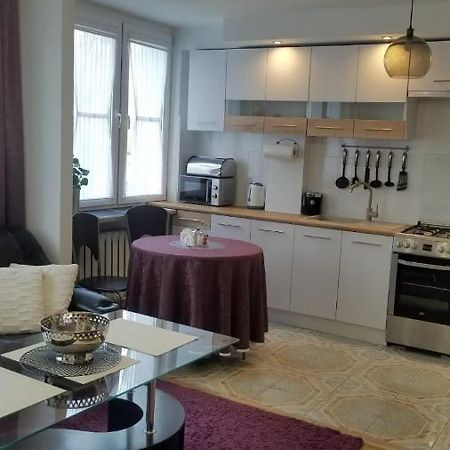 Apartament Zamosc Fiolet エクステリア 写真