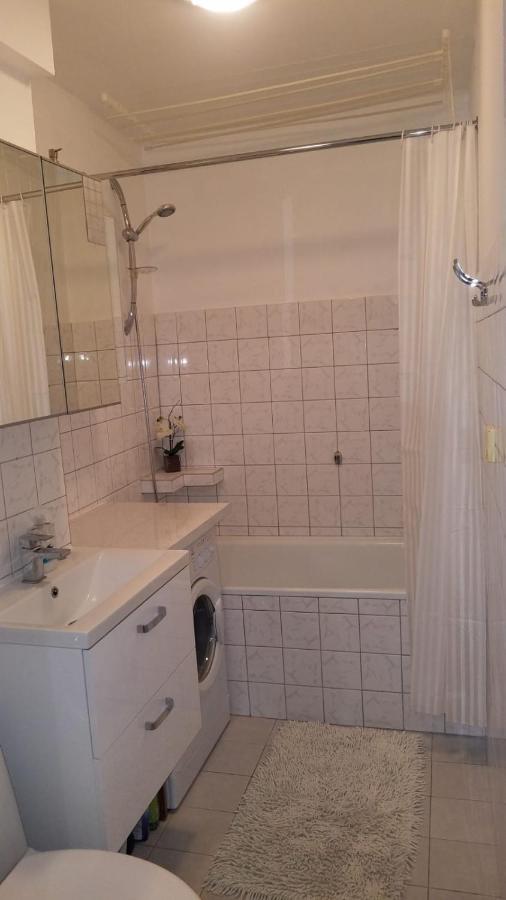 Apartament Zamosc Fiolet エクステリア 写真