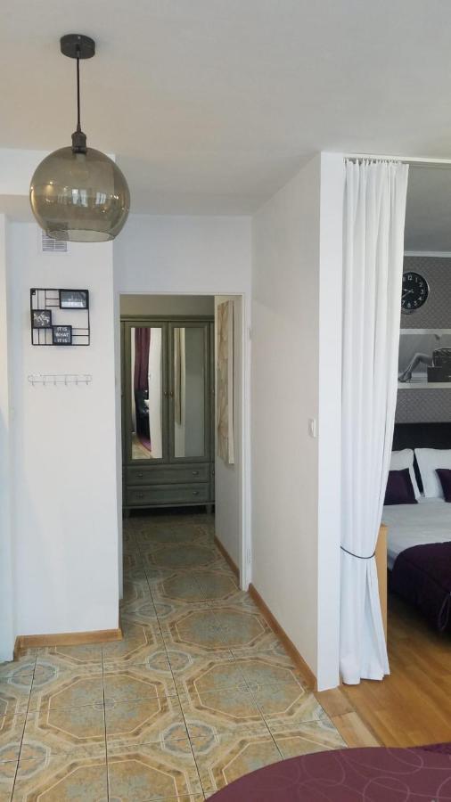 Apartament Zamosc Fiolet エクステリア 写真