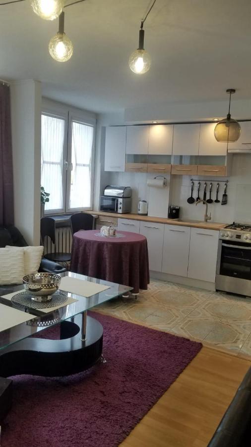 Apartament Zamosc Fiolet エクステリア 写真